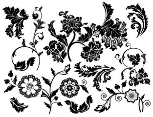 Fototapeta premium Set of design floral elements
