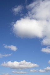 Obraz premium blue sky background with white clouds