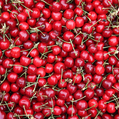 Cerises
