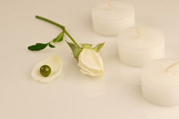 rose et bougies blanches