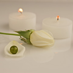 blanc et vert