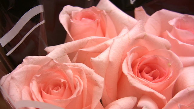 rotating roses