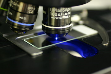 Fototapeta na wymiar Mikroskop fluorescencyjny