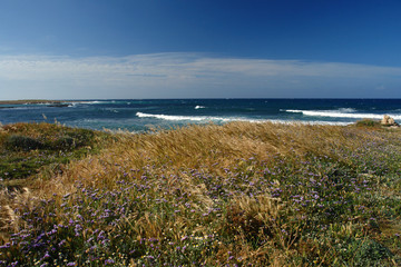 littoral de chypre près de  paphos