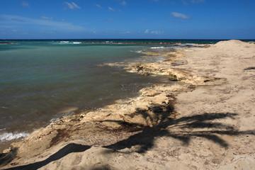 ombre de palmier sur plage en méditerranée