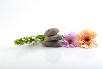 Flowers and stones - spa theme