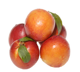 Nectarines with leafs on white bacground
