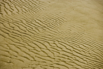 Sanddüne