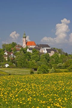Kloster Andechs mit L&ouml;wenzahnwiesen