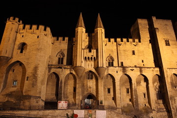 Fototapeta na wymiar Palais des Papes à Avignon (France)