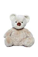 Cute Teddy bear over white background