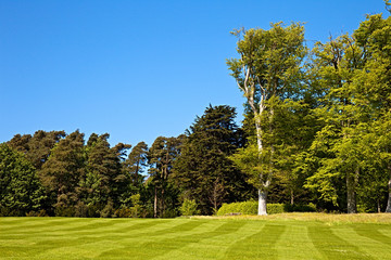 Striped lawn