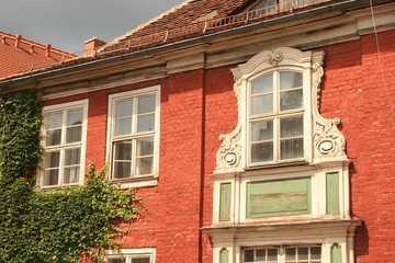 überwachsene fassade