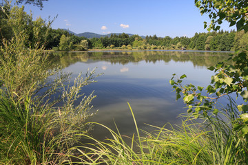 Fischweiher bei Rosenheim in Oberbayern, Deutschland.