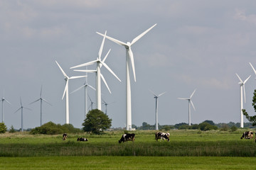 Windpark