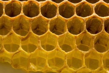 Hexagonal honeycomb structure edge