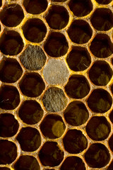 Hexagonal honeycomb structure , three cells covered
