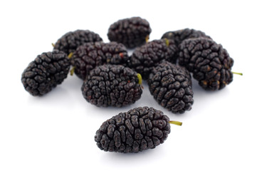 Mulberry