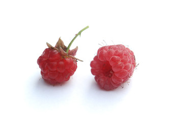 Two tasty berries of a raspberry