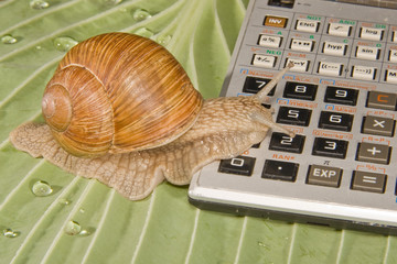 Rechen Schnecke
