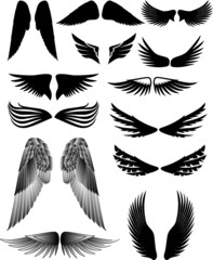 Wings collection