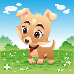 Fotobehang Baby hondje in de wei © ddraw