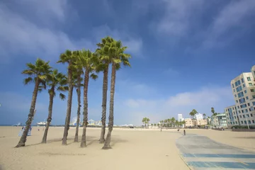 Stickers meubles Los Angeles Palmiers et la jetée de la plage de Santa Monica à Los Angeles