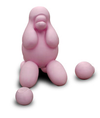 Strange Poodel