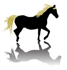 Golden Horse Silhouette 2