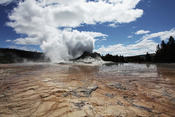 Geyser