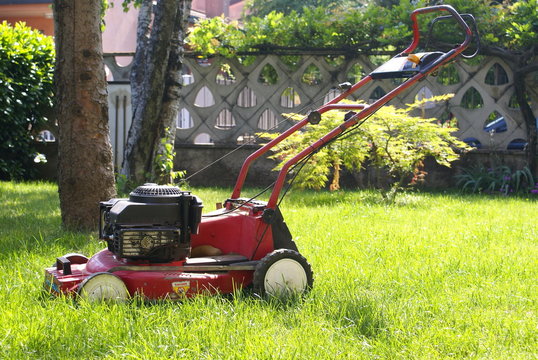 hobby estivo