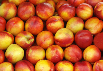 Nectarine Abstract