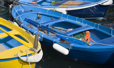 Fototapeta na wymiar Barques de pêcheurs
