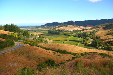 Vallée proche de Nelson