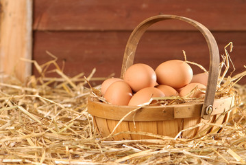 Eggs In The Barn