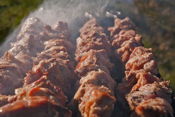 shashlyk
