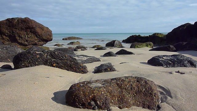 mar&eacute;e basse