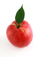 red apple