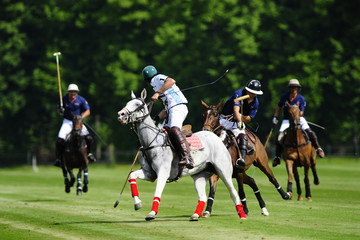 Polo Cup 2009 03