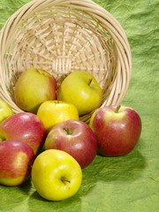 wet juicy apples on green background in straw plate