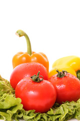 Different fresh vegetables on white background