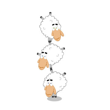 sheep acrobats