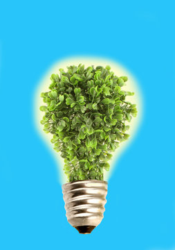 Eco tree lightbulb
