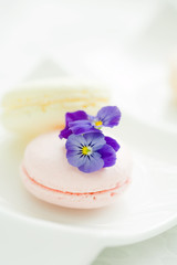 Fototapeta premium 春色マカロン