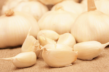Fresh garlic on canvas background.