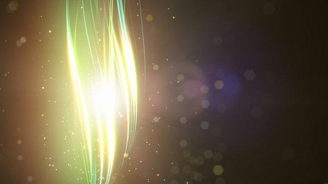 Particles and strings loop