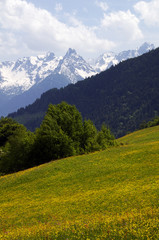 Val Gerola - Sondrio