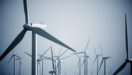 windmills