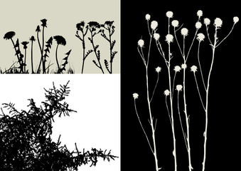 real grass silhouette - vector - two colors