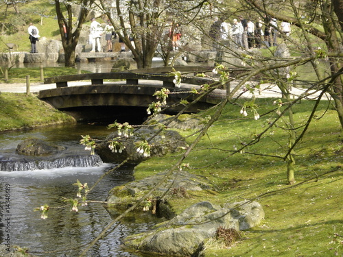 "Un pont au jardin japonais d'Hasselt" photo libre de ...